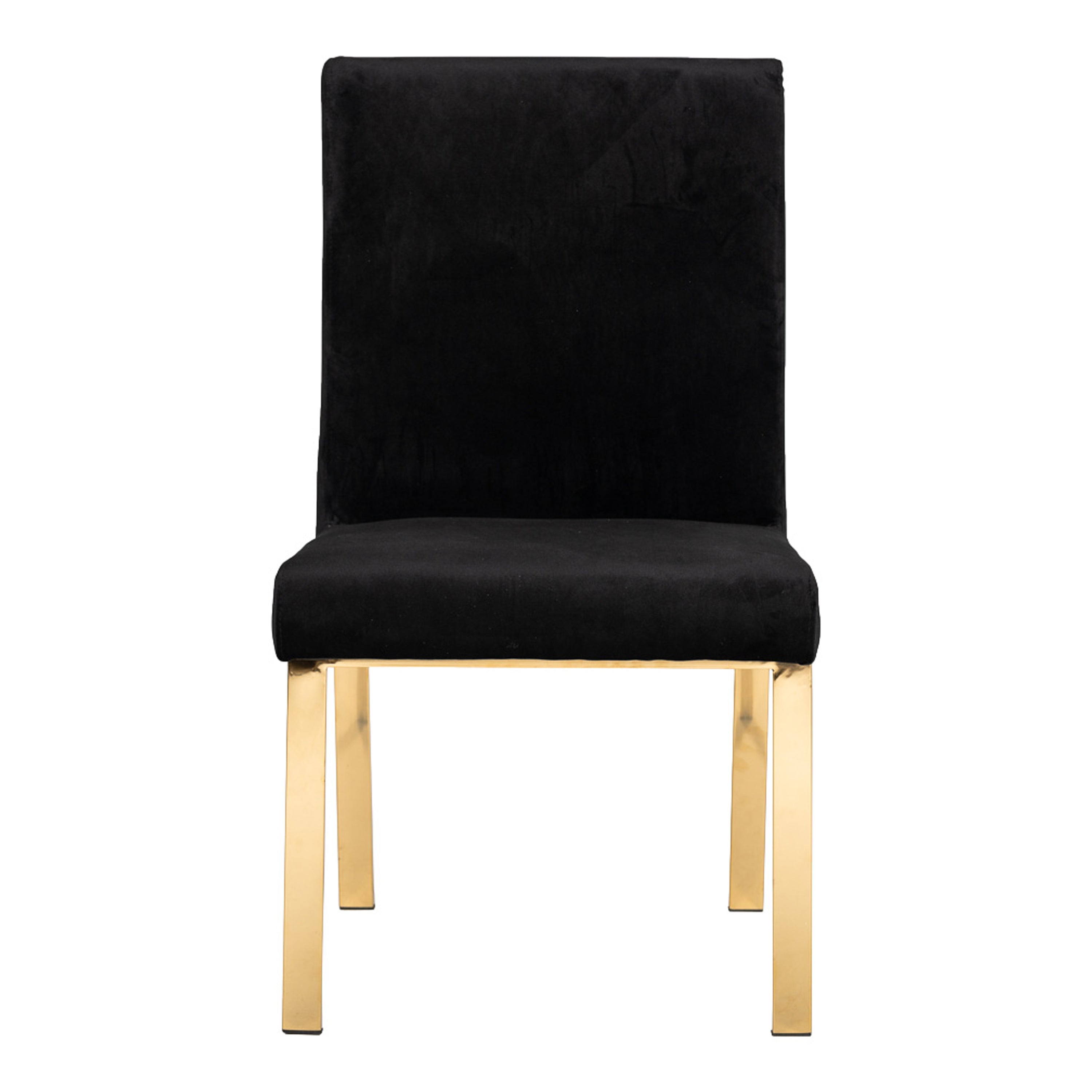 Reba Modern Grey Velvet & Gold Dining Chair (Set of 2)