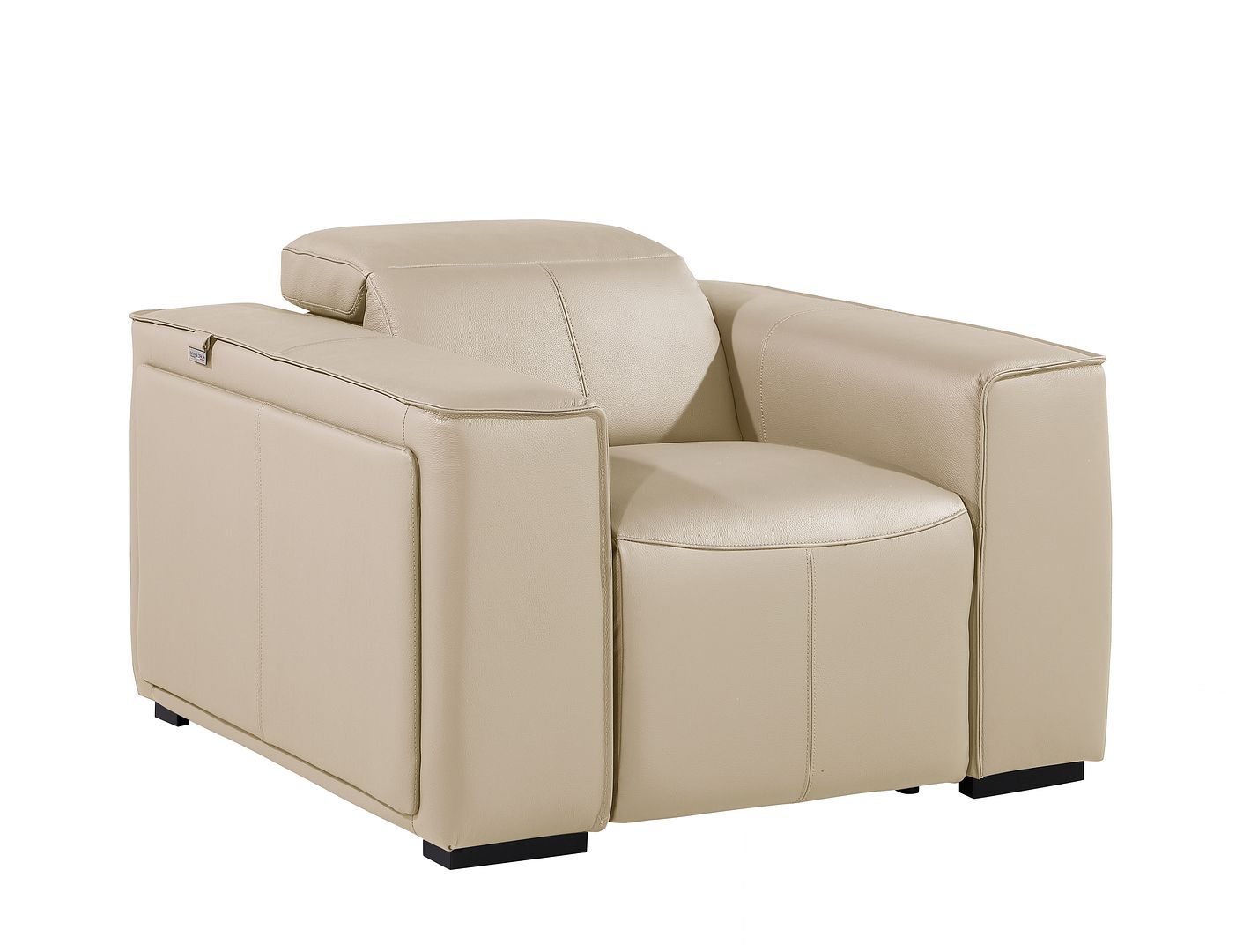 1126 Divanitalia Top Grain Italian Leather Power Reclining Chair with Power Headrests
