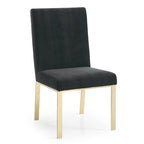 Reba Modern Grey Velvet & Gold Dining Chair (Set of 2)