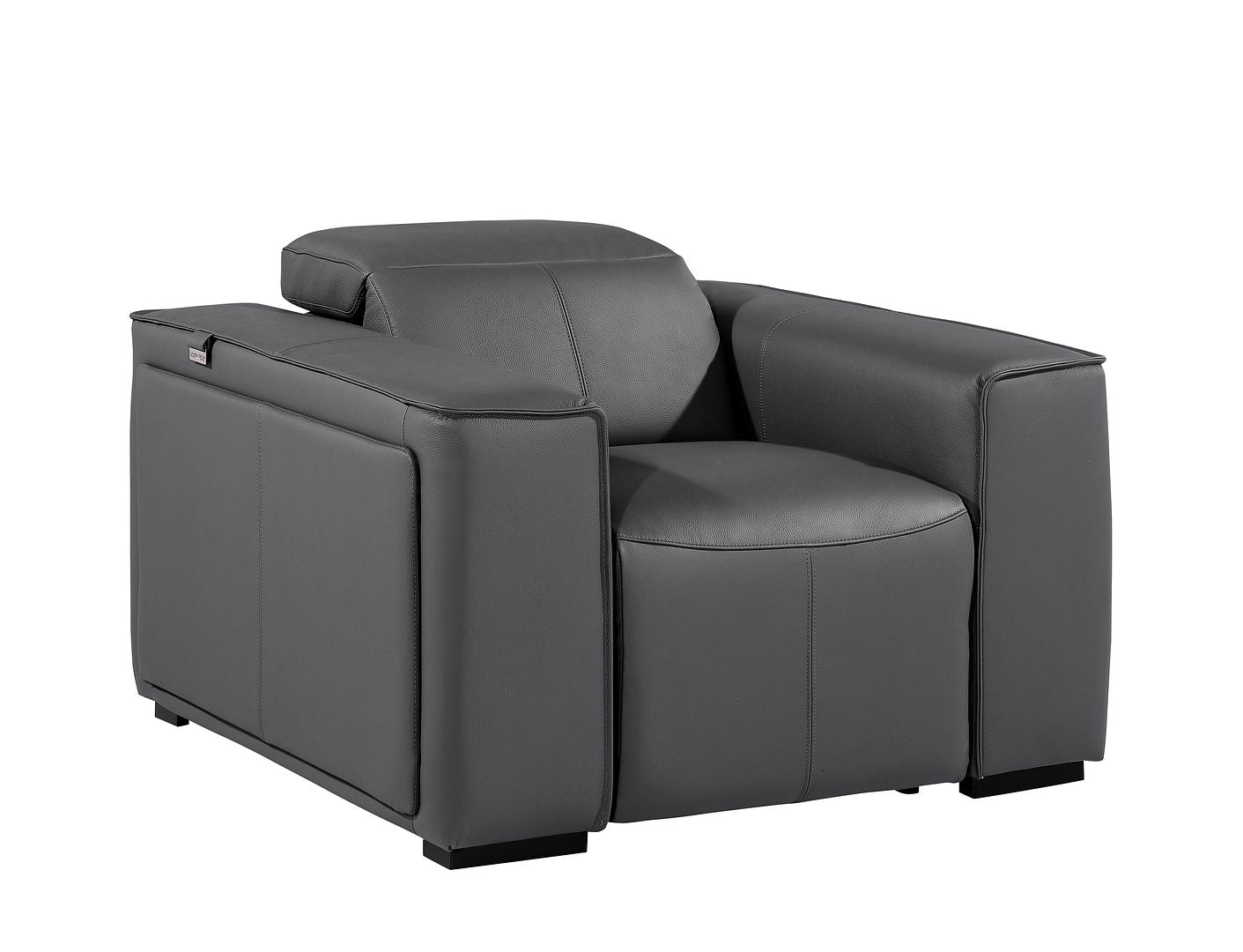 1126 Divanitalia Top Grain Italian Leather Power Reclining Chair with Power Headrests