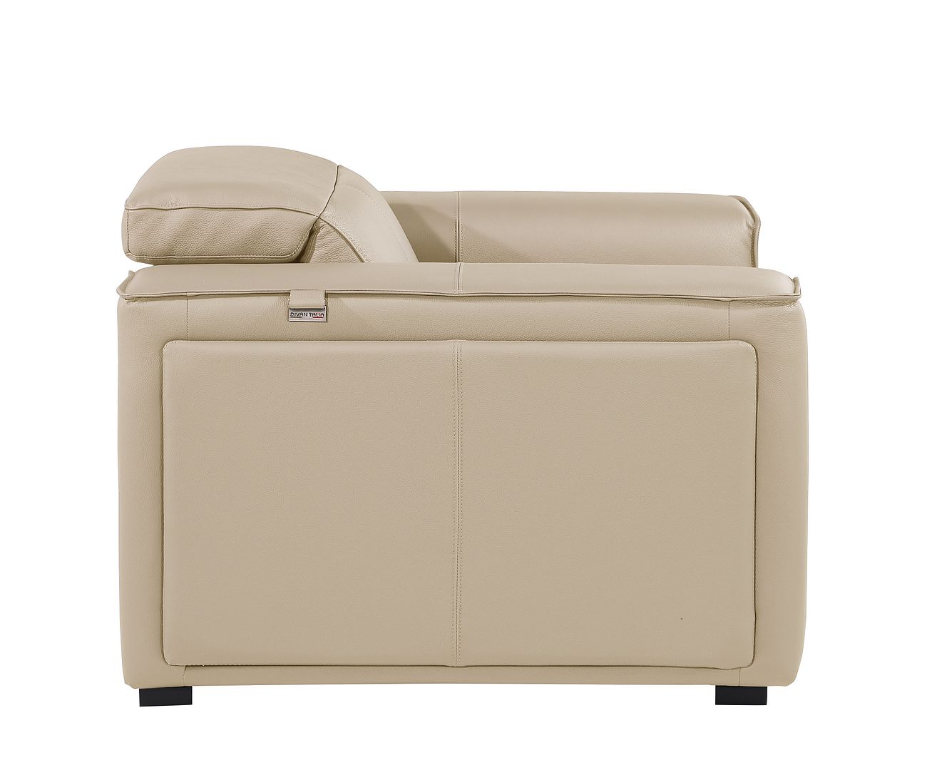 1126 Divanitalia Top Grain Italian Leather Power Reclining Chair with Power Headrests