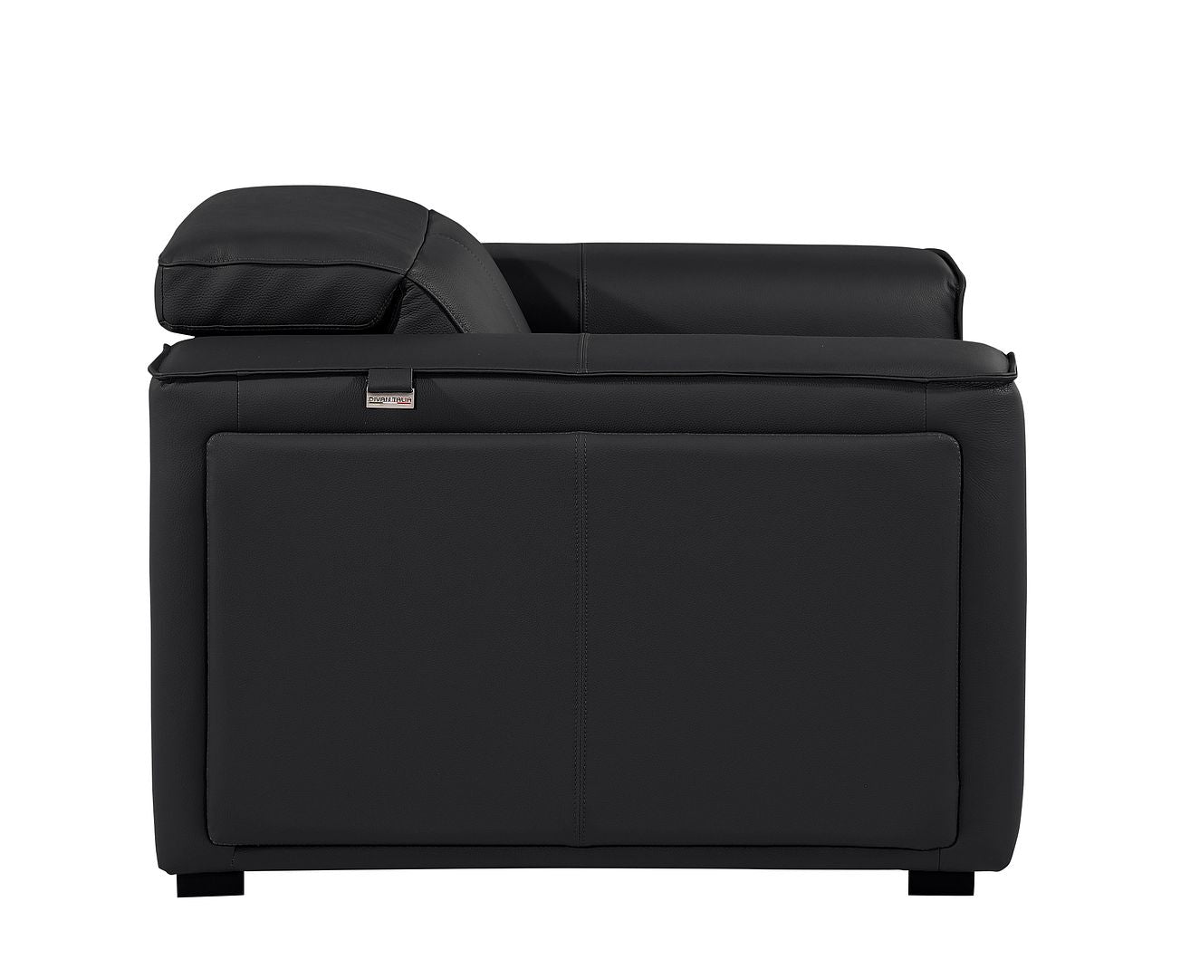 1126 Divanitalia Top Grain Italian Leather Power Reclining Chair with Power Headrests