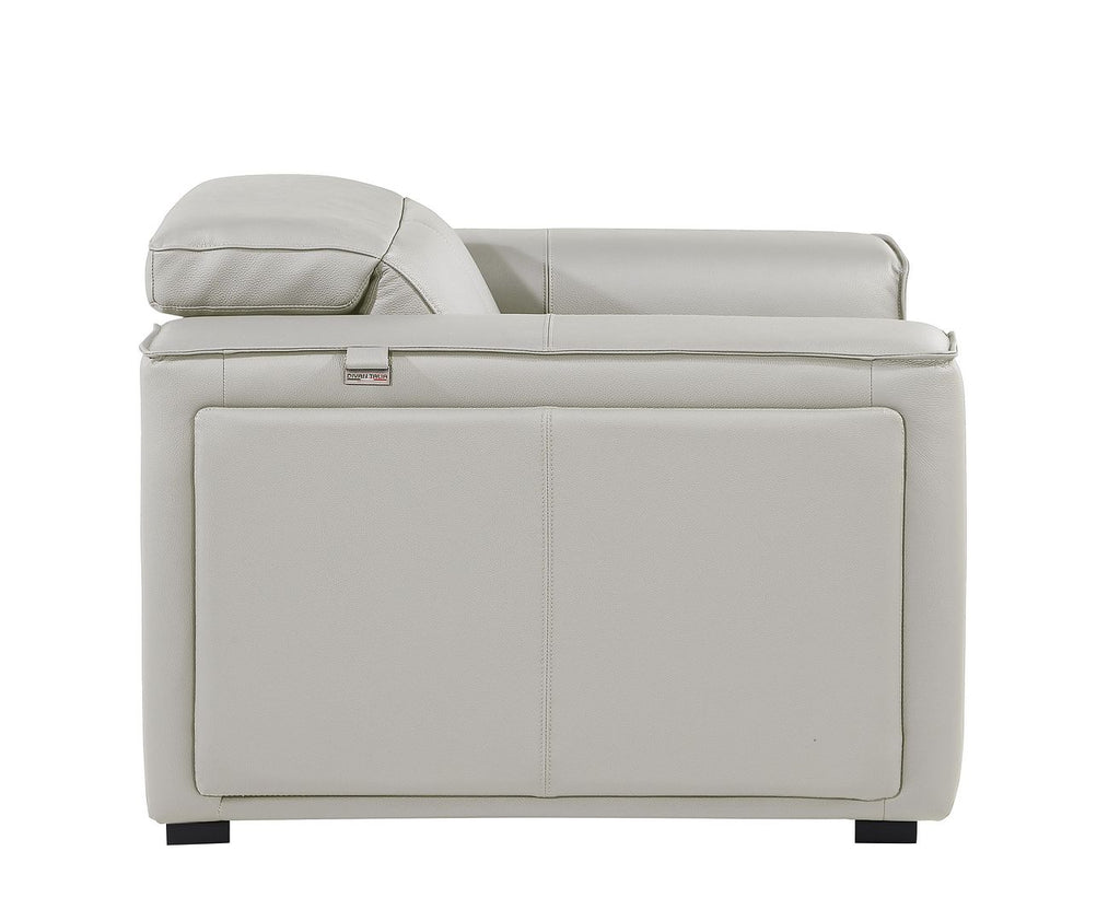 1126 Divanitalia Top Grain Italian Leather Power Reclining Chair with Power Headrests