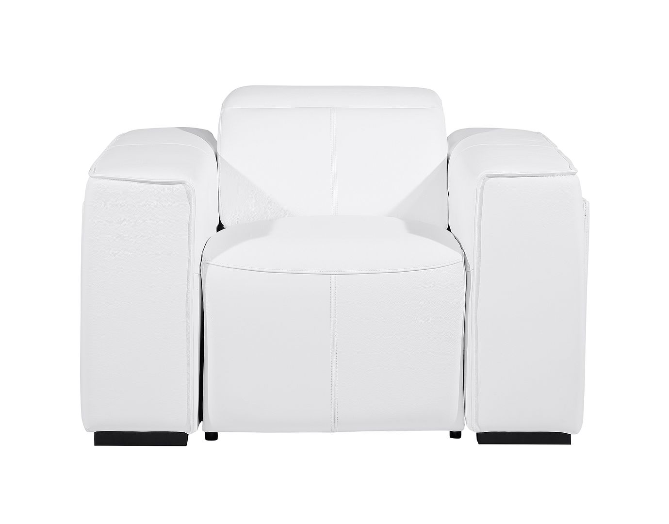 1126 Divanitalia Top Grain Italian Leather Power Reclining Chair with Power Headrests