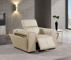 1126 Divanitalia Top Grain Italian Leather Power Reclining Chair with Power Headrests