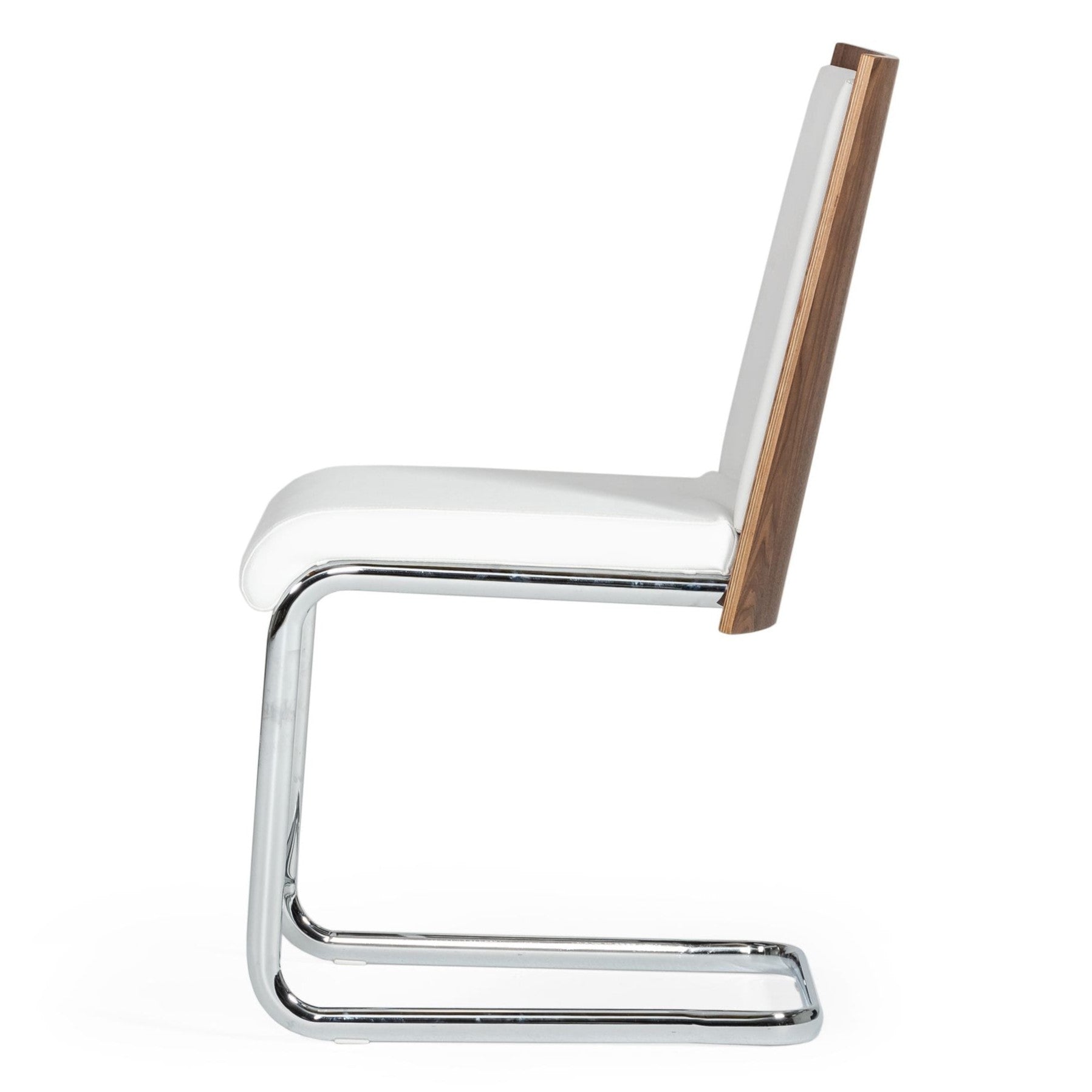 Morgan - Modern Dining Chair (Set of 2)