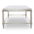 Agar Modern Glass & Stainless Steel Coffee Table
