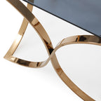 Reklaw Modern Smoked Glass & Rosegold End Table