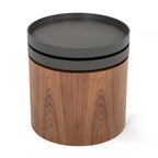 Bascom Modern Walnut End Table with Swivel Top