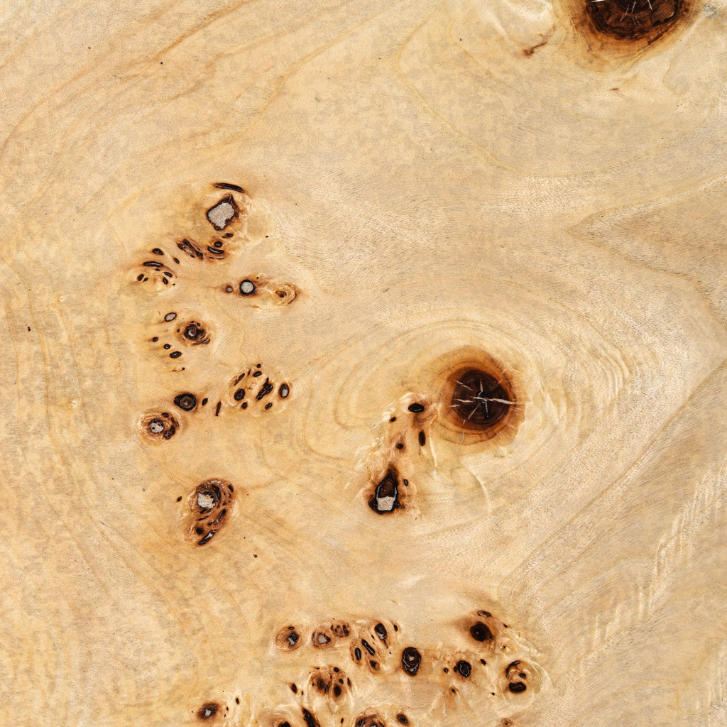 July - Modern Mapa Burl Round Coffee Table
