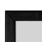 Fields - Modern Black Acacia Mirror