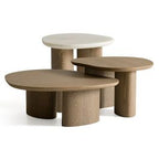 Raywood - Modern 3-Piece Buckwheat + Onyx Nesting Coffee Table Set