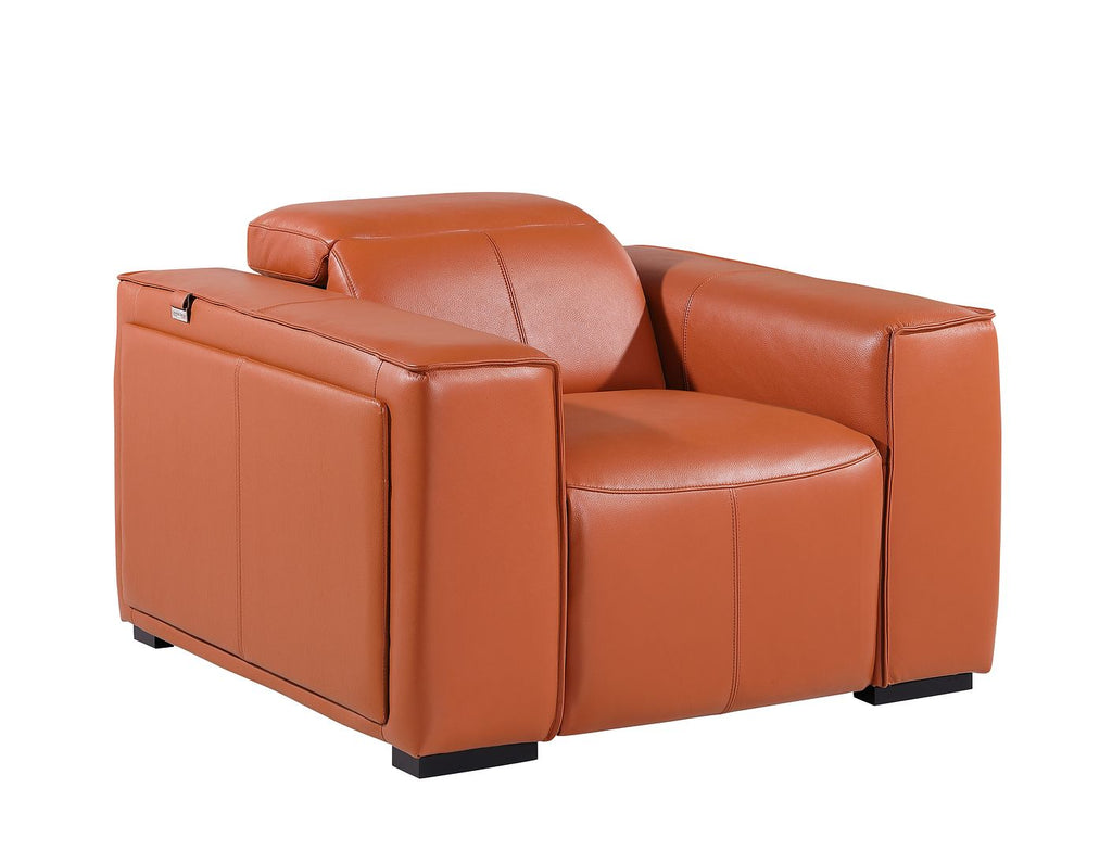 1126 Divanitalia Top Grain Italian Leather Power Reclining Chair with Power Headrests
