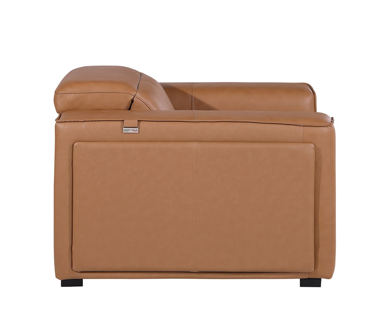 1126 Divanitalia Top Grain Italian Leather Power Reclining Chair with Power Headrests