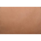 Juno Power Recliner Sofa Tan Leather