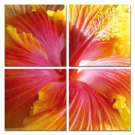 Hibiscus 4 - Panel Photo on Canvas