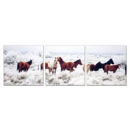 Mustangs 3 - Panel Photo On Canvas