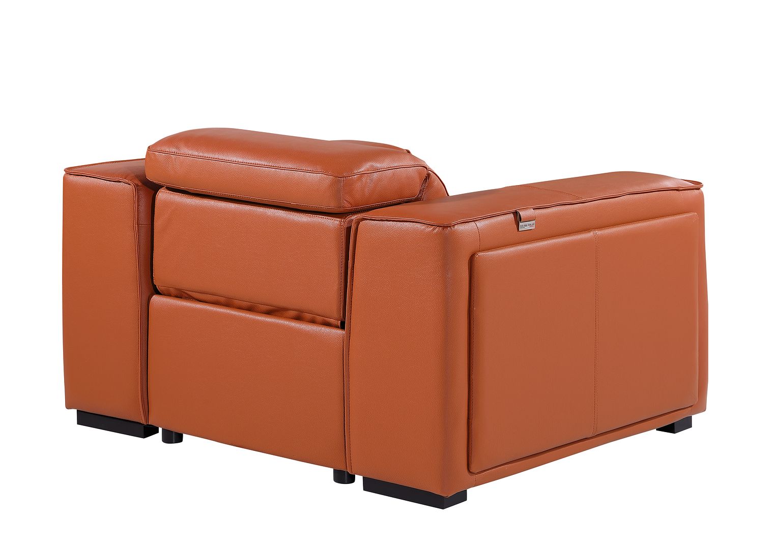 1126 Divanitalia Top Grain Italian Leather Power Reclining Chair with Power Headrests