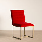 Barker - Modern Dining Chair (Set of 2)