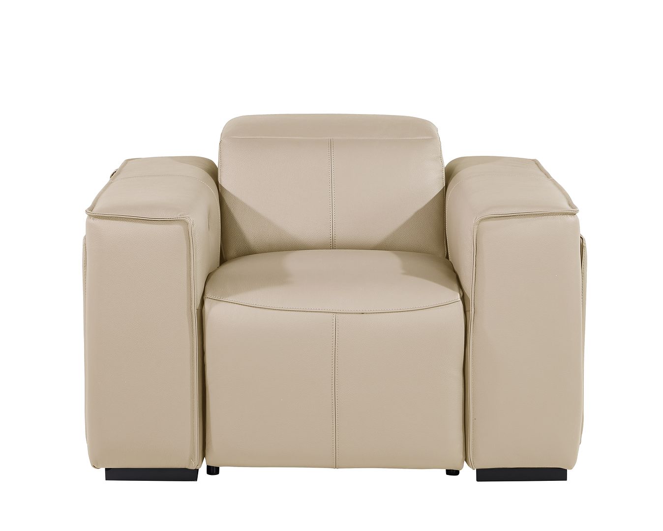 1126 Divanitalia Top Grain Italian Leather Power Reclining Chair with Power Headrests