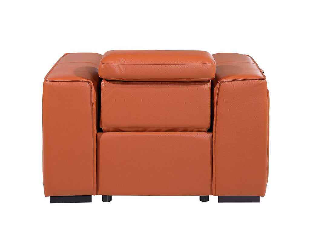 1126 Divanitalia Top Grain Italian Leather Power Reclining Chair with Power Headrests