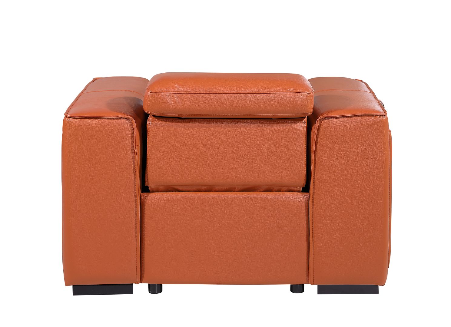 1126 Divanitalia Top Grain Italian Leather Power Reclining Chair with Power Headrests
