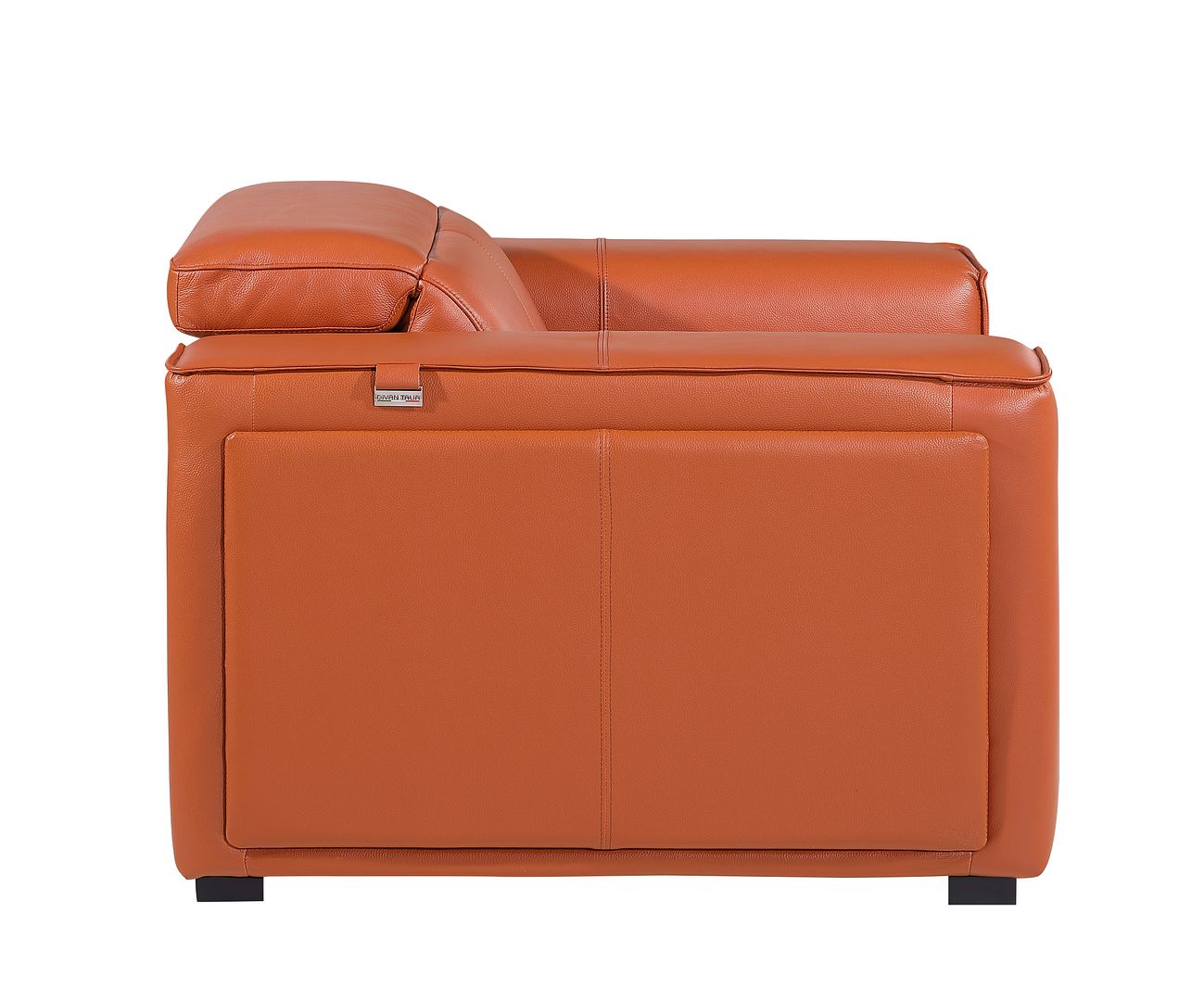 1126 Divanitalia Top Grain Italian Leather Power Reclining Chair with Power Headrests