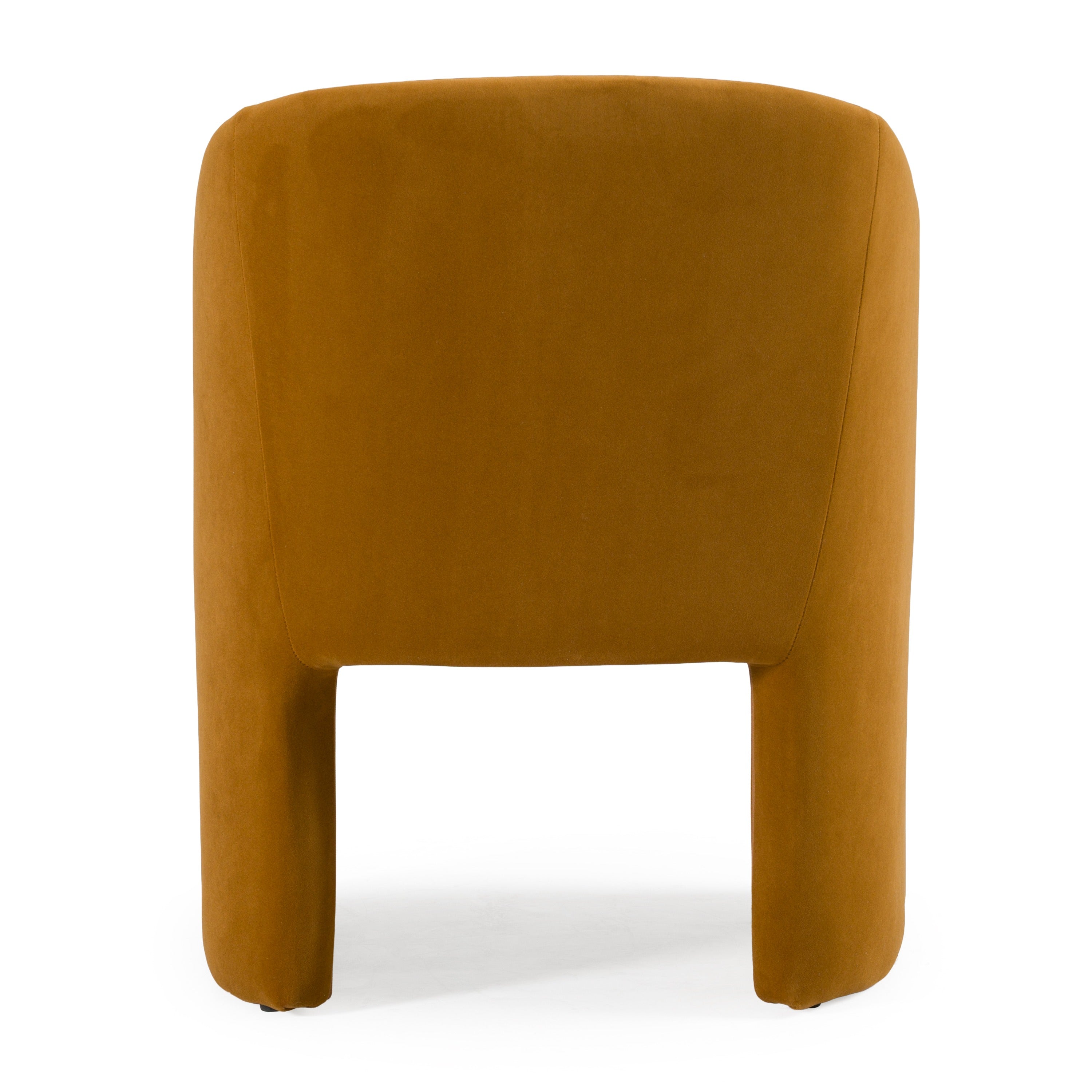 Danube Modern Fabric Dining Chair