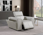 1126 Divanitalia Top Grain Italian Leather Power Reclining Chair with Power Headrests