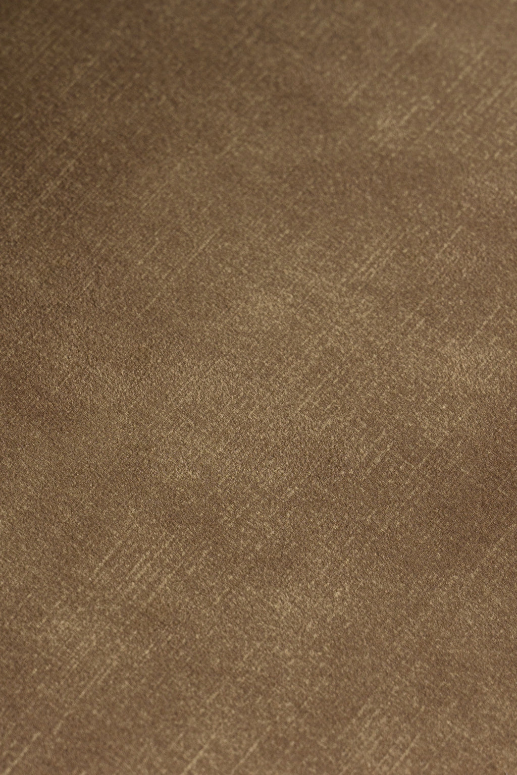 Ditka - Modern Camel Velvet Dining Chair (Set of 2)
