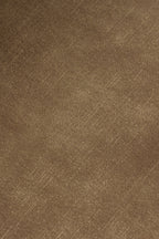 Ditka - Modern Camel Velvet Dining Chair (Set of 2)