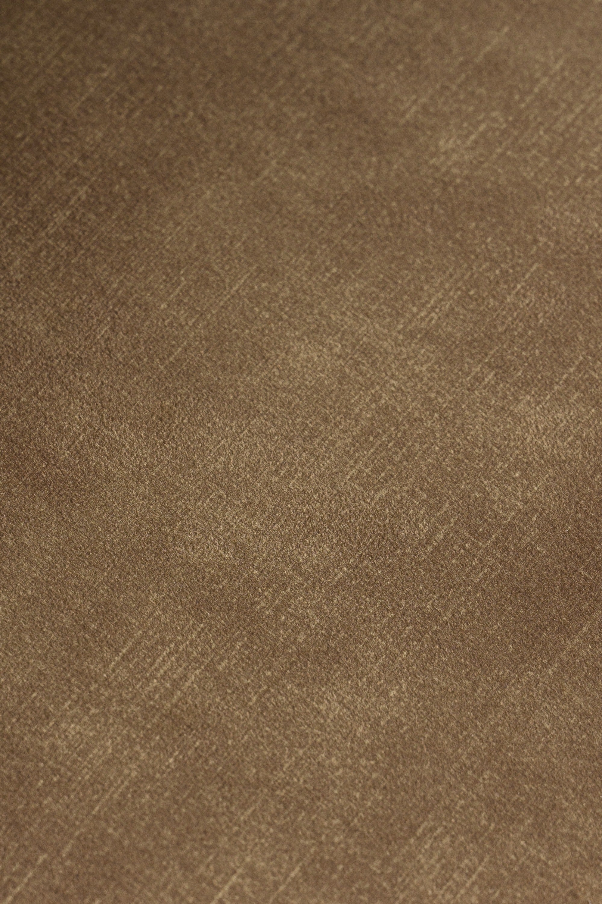 Ditka - Modern Camel Velvet Dining Chair (Set of 2)