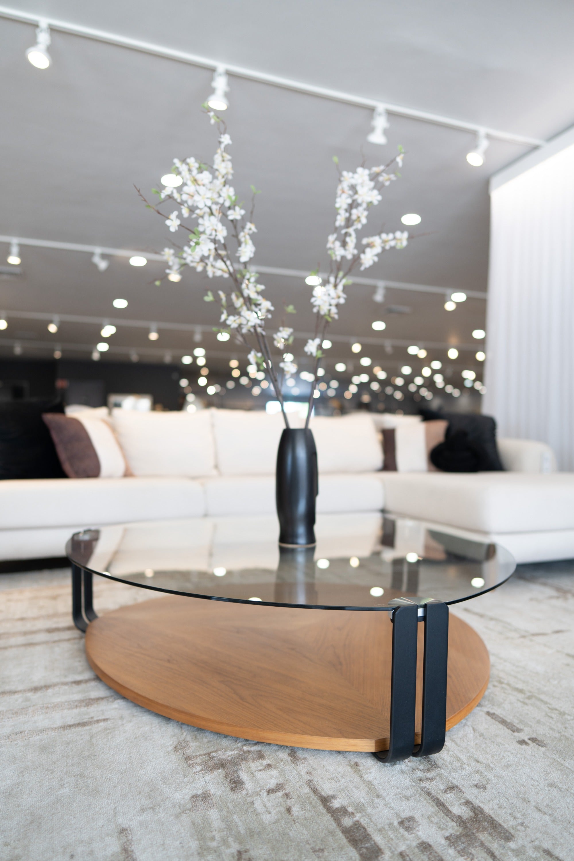 Viviana - Modern Coffee Table