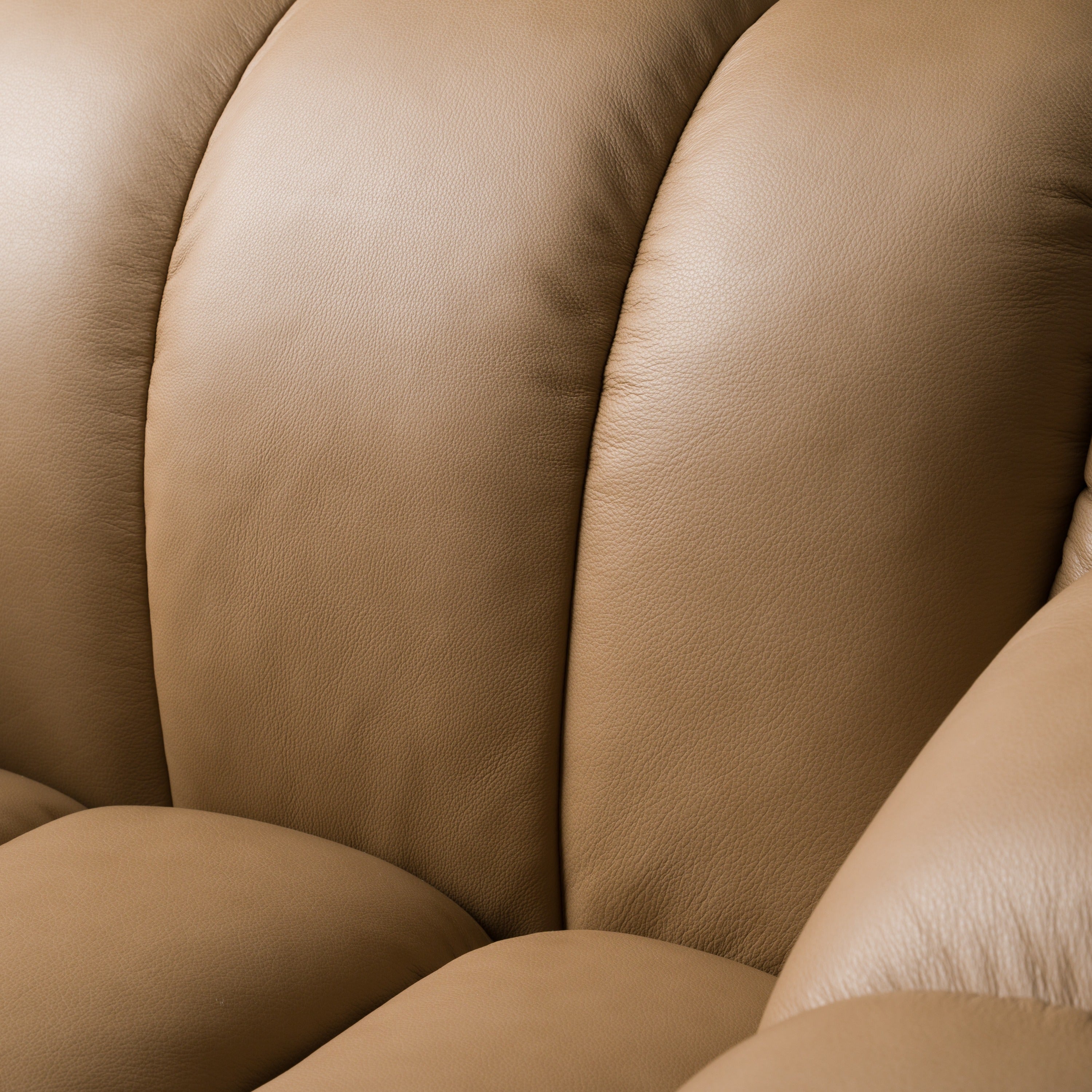 Ekwok - Modern Tan Leather Chair