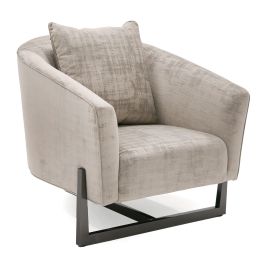 Forbis - Contemporary Light Grey Fabric + Bronze Accent Chair