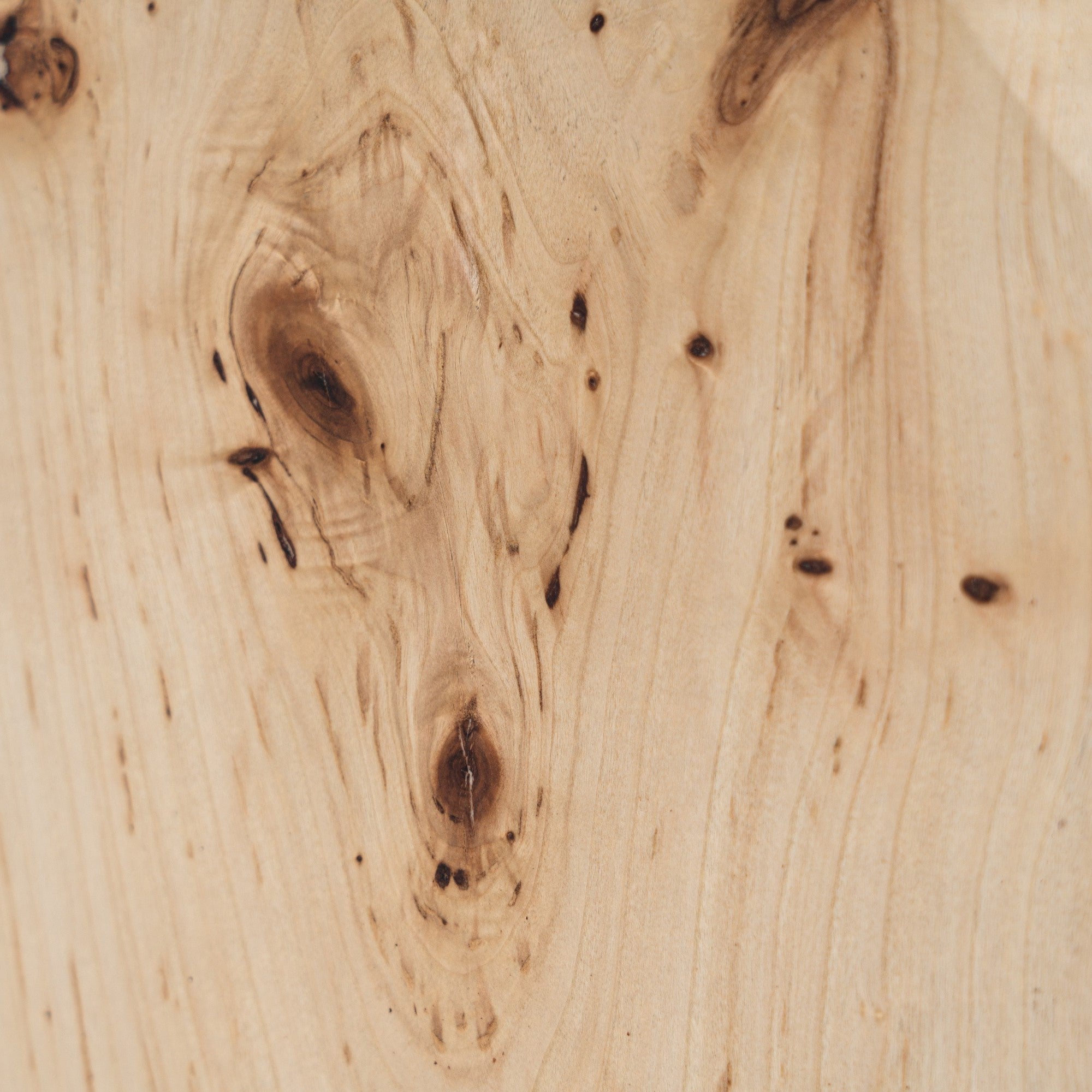 July - Modern Mapa Burl Round End Table