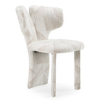 Masuda - Modern Beige Pattern Fabric Dining Chair (Set of 2)
