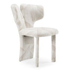 Masuda - Modern Beige Pattern Fabric Dining Chair (Set of 2)