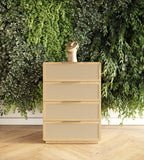 Gavin - Modern Natural Ash + Rattan Chest