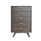 Novak Modern Dark Oak Chest