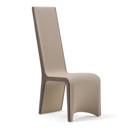 Pacer - Modern Beige & Grey Ash Dining Chair (Set of 2)