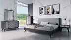 Panther Contemporary Black Mirror
