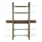 Rinaldi - Mid-Century Modern Grey Ash + Glass Bookshelf