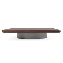 Valley - Modern Walnut + Titanium Low Coffee Table